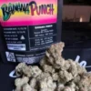 Jungle Boys Banana Punch