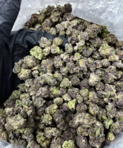 Blue Nerdz POUND of weed for sale 454 GRAMS