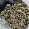 Buy pound of Biscotti strain 454 GRAMS