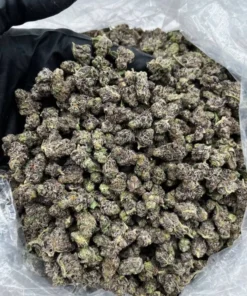 buy pound Cereal Milk Smalls strain 454 grams