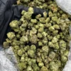 BUY ONE POUND Apples Banana Smalls strain 454 GRAMS