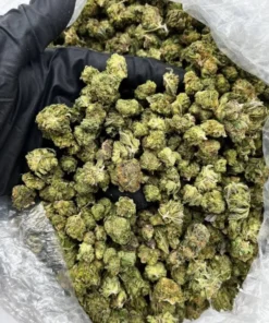 BUY ONE POUND Apples Banana Smalls strain 454 GRAMS