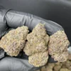 zaza weed strain