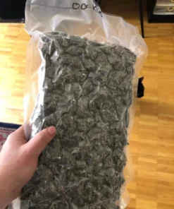 Buy Pounds Of OG Kush Weed Online