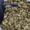 Animal Mintz pound For Sale Online 454 grams