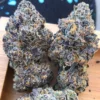 Grand Daddy Purple for sale