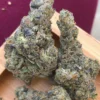 Bubblegum