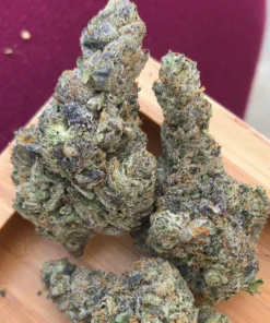 Bubblegum