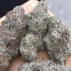 Northern lights